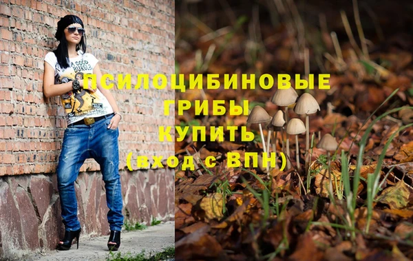 меф VHQ Дмитриев