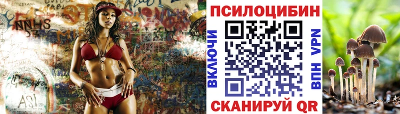 где купить наркоту  OMG ссылки  Галлюциногенные грибы Psilocybine cubensis  Выкса 