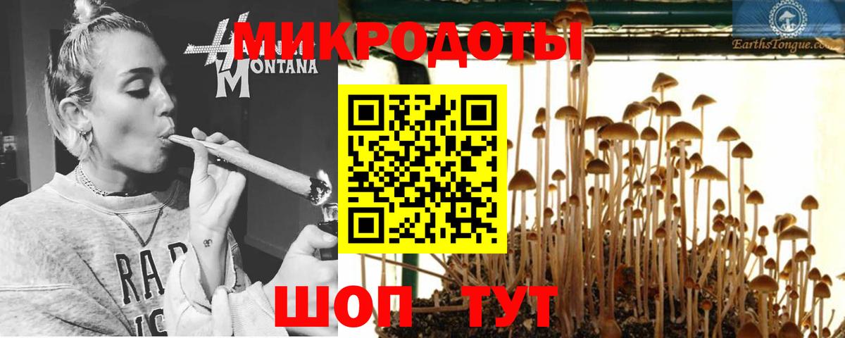 Галлюциногенные грибы Magic Shrooms  Выкса 