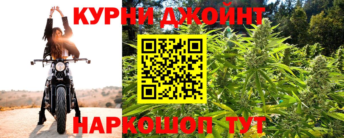 Конопля планчик  Канабис индика  Выкса 